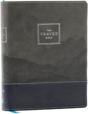 Prayer Bible Comfort Print