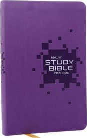 Study Bible For Kids