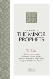 Books Of The Minor Prophets The 12
