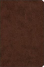 Dyslexia Friendly Edition Bible