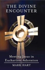 Divine Encounter : Meeting Jesus In Eucharistic Adoration