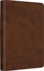 Value Compact Bible