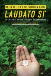 On Care For Our Common Home Laudato Si