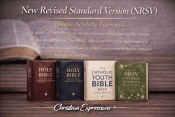 New Revised Standard - Updated (NRSV)