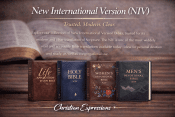 New International Version (NIV)